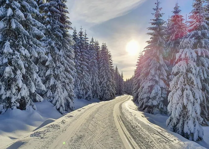 公寓 - Krkonose Bratrouchov